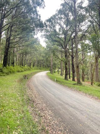 AHMAD_bushwalk_2024_01_07_Dandenong_Eagle_nestIMG_3195