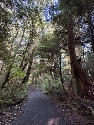 cape Flattery _001