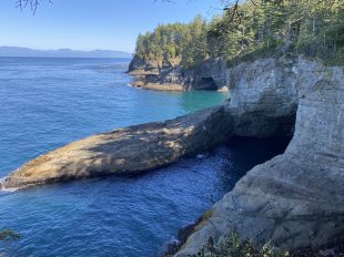 cape Flattery_land_003