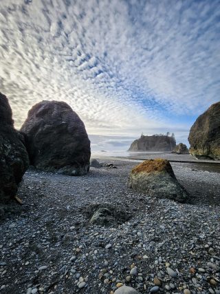 ruby beach olympic national park20231108_0001