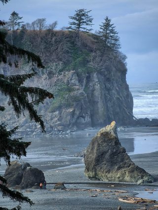 ruby beach olympic national park20231108_0004