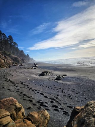 ruby beach olympic national park20231108_0006