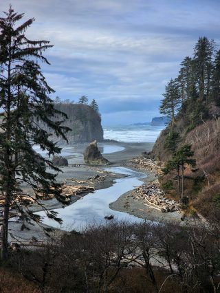 ruby beach olympic national park20231108_0008