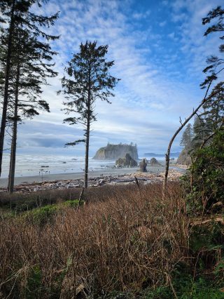 ruby beach olympic national park20231108_0009