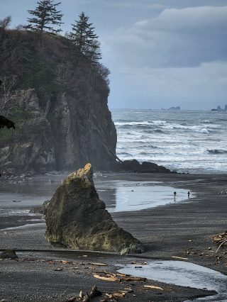 ruby beach olympic national park20231108_0012