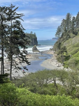 ruby beach olympic national park20231108_0014